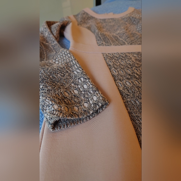 Bodycon dress - Picture 5 of 5